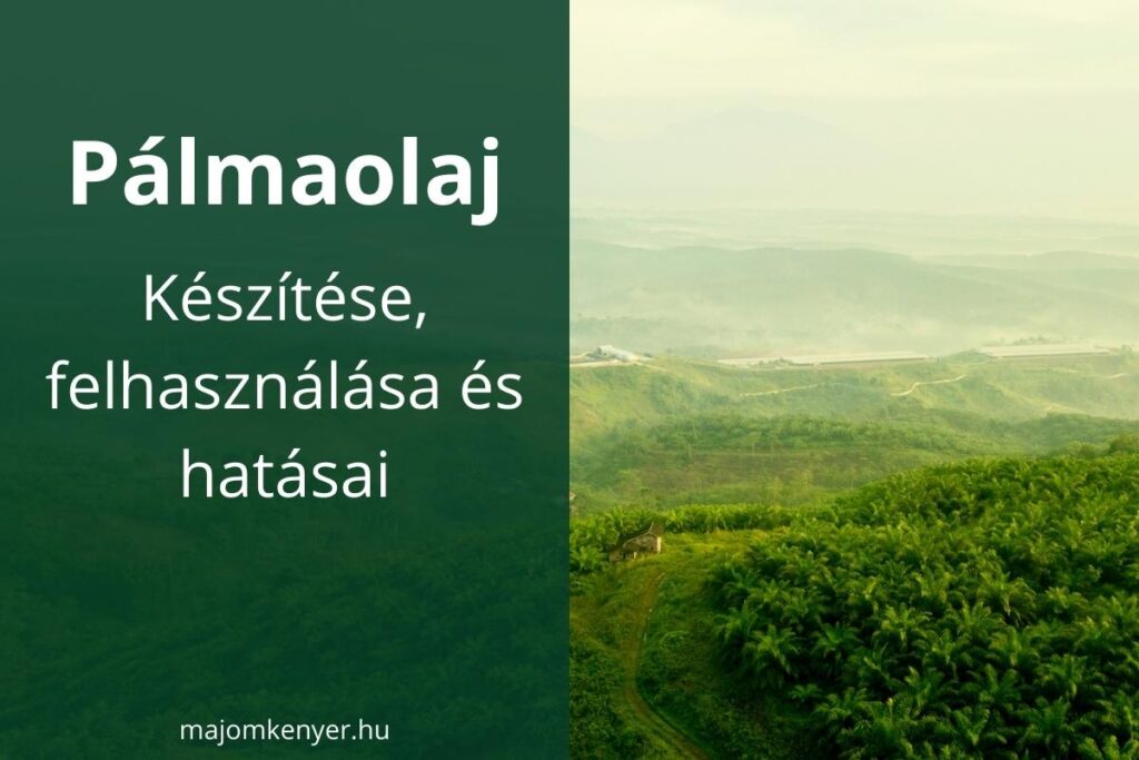 A pálmaolaj készítése, felhasználása és hatásai